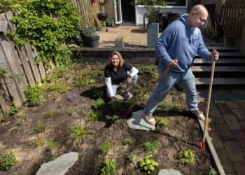 Graag Tegels Eruit, Planten Erin