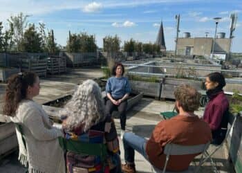 Stilte op het stadsdak