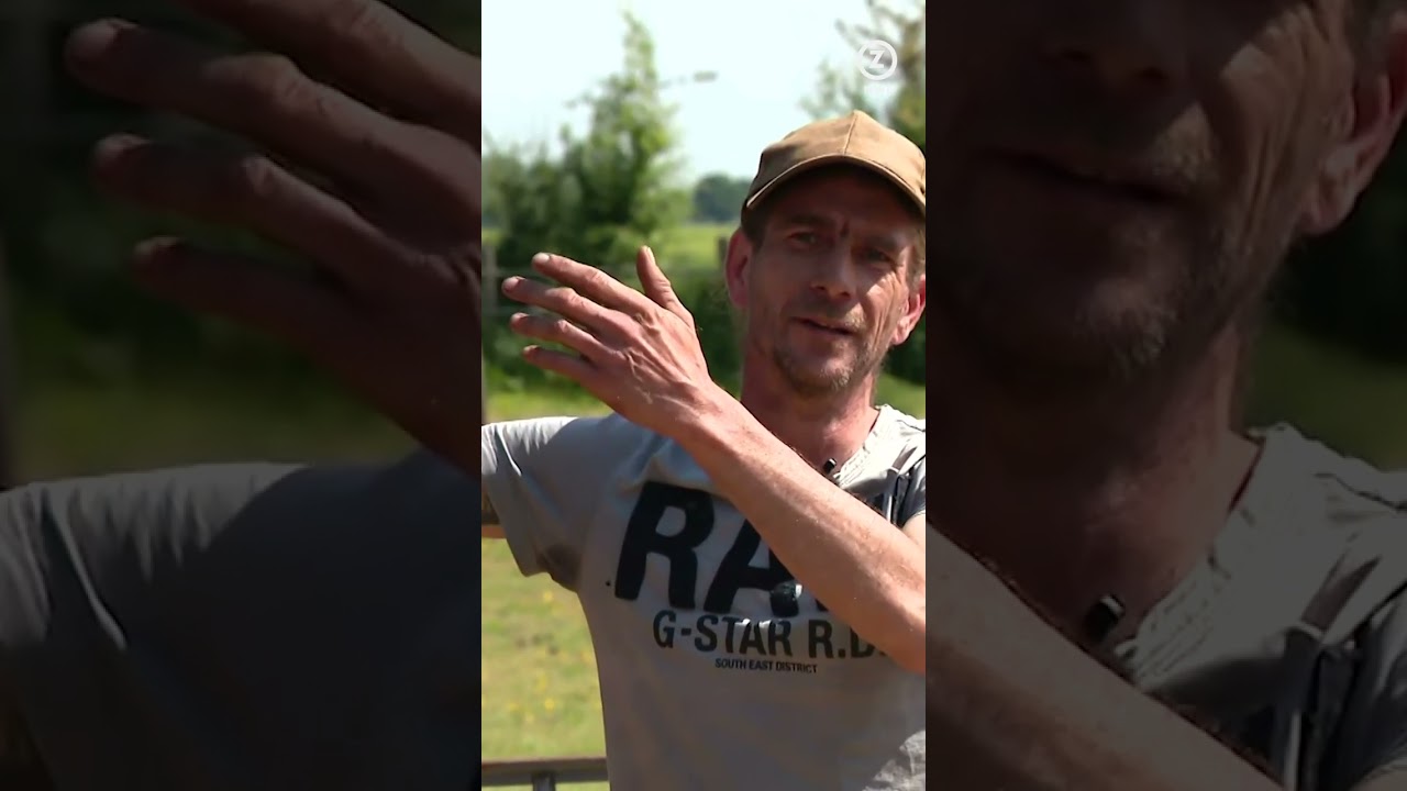 Dierenliefde en regels botsen in Bocholtz | ZO-NWS