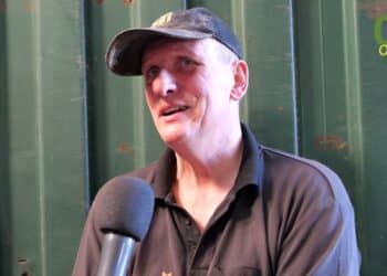 Lentefeest op vier poten: Laatste koeien in Eygelshoven eindelijk de wei in!