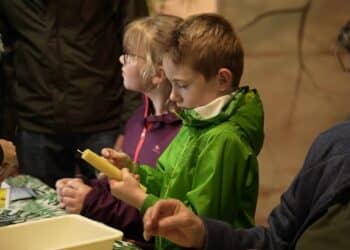 Feestweekend in GaiaZOO op 31 mei en 1 juni 2025 – 20-jarig Jubileum