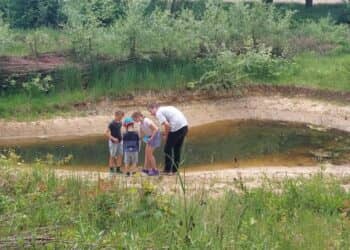 Een Groene Droom voor Brunssum-West