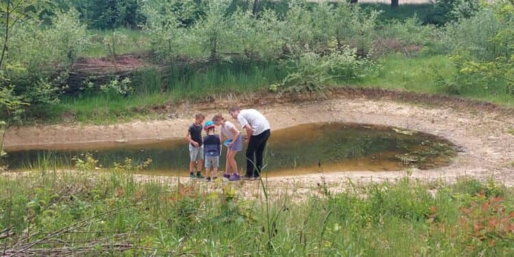 Een Groene Droom voor Brunssum-West