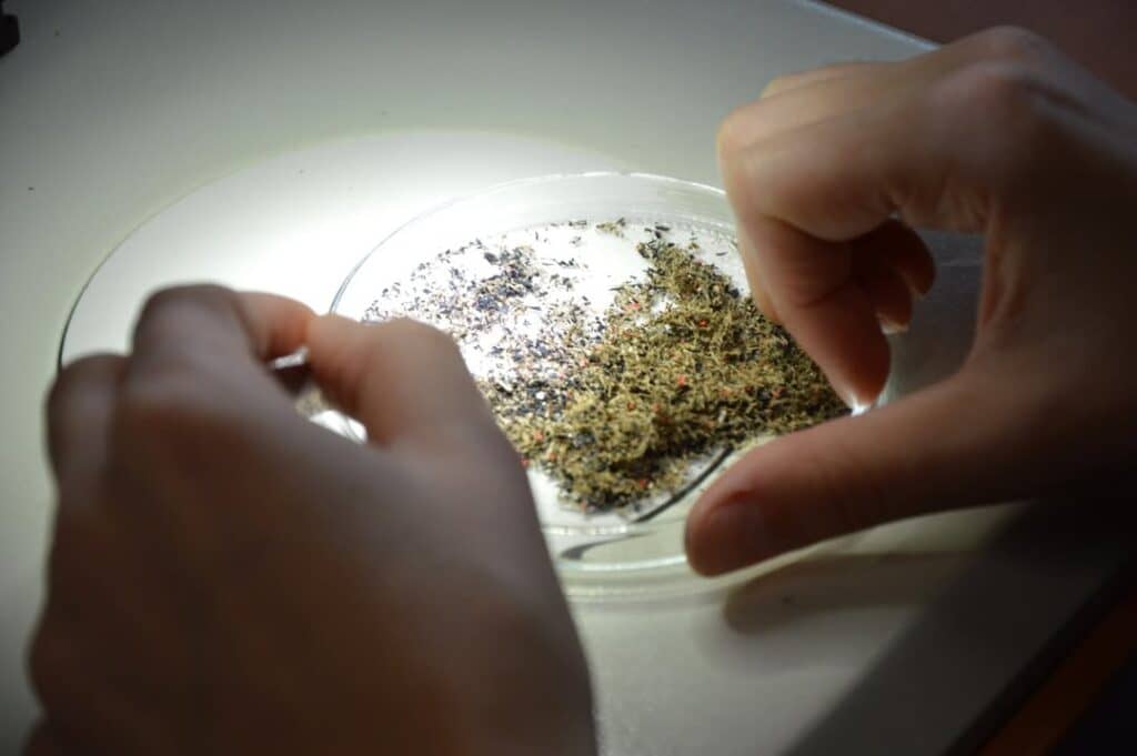 Proef het verleden tijdens KOK & KUNST #6