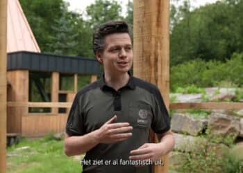 Nieuw verblijf bijna klaar: maak kennis met de geelvoet rotswallabie!