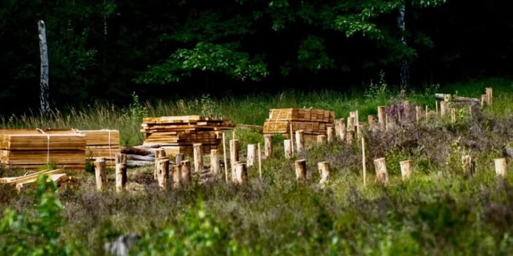 Natuurbeleving op nieuwe hoogte: Hangvennen krijgen vlonderbrug