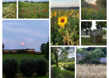 Fotowedstrijd “De mooiste plaatjes van Simpelveld”