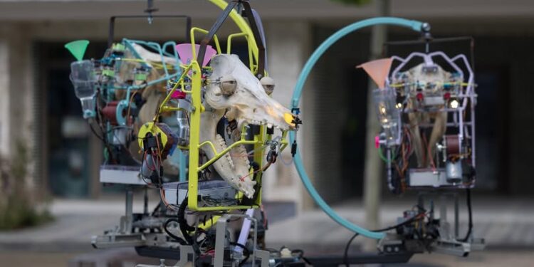 Cultura Nova: Een Chaotisch Kunstfeest vol Verrassingen