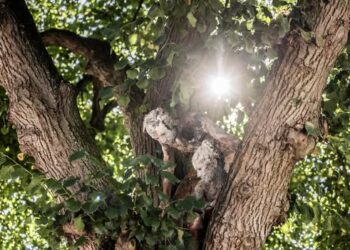 Een cultureel weekend vol beleving in Beekdaelen