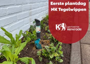 Buurt wint eerste plantdag voor meer groen