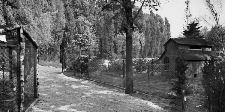 Vergeten Schoonheid: Een Ontdekkingstocht door Brunssums Fotoverleden