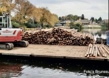 Wilgentakken Vlechten in Vijverpark