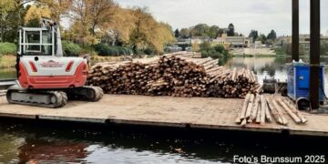 Wilgentakken Vlechten in Vijverpark