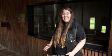 Het dier van de maand november is… 𝗱𝗲 𝗘𝘂𝗿𝗼𝗽𝗲𝘀𝗲 𝗹𝘆𝗻𝘅! 🐾