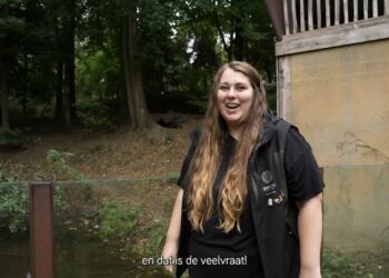 Meer over de veelvraten in GaiaZOO