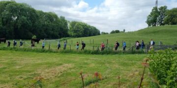 Wandelen door de geschiedenis op de Camino de la Cal
