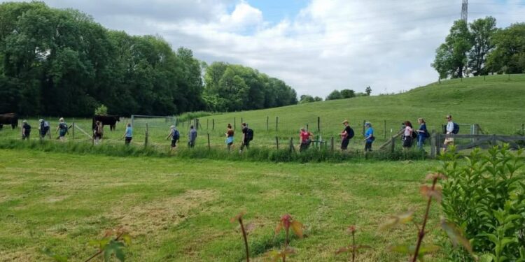 Wandelen door de geschiedenis op de Camino de la Cal