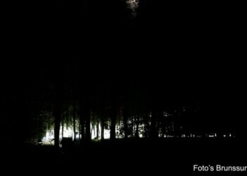 Gruwelijke Ontdekking in Blotevoetenpark: Halloween Infected Forest, Deel 2