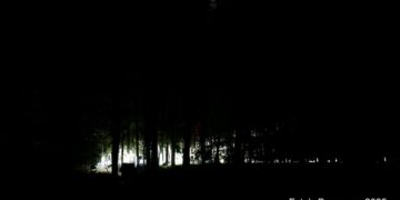 Gruwelijke Ontdekking in Blotevoetenpark: Halloween Infected Forest, Deel 2