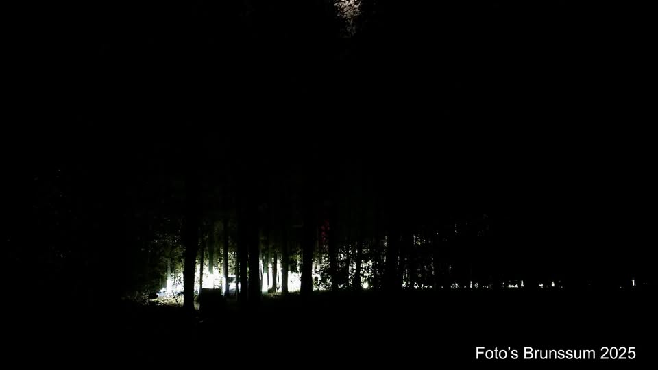 Gruwelijke Ontdekking in Blotevoetenpark: Halloween Infected Forest, Deel 2