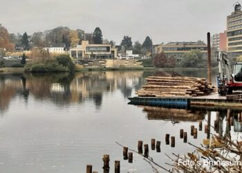 Vijverpark krijgt een make-over