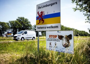 Strijd tegen Afrikaanse Varkenspest in Limburg
