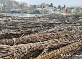 Natuurlijke oevers nemen vorm aan in Vijverpark