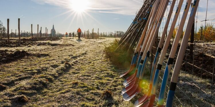 Levensbomenbos Rolduc Geopend