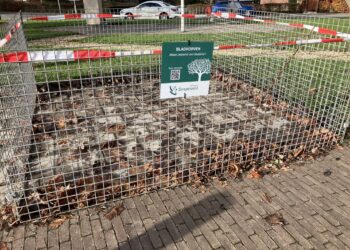 Bladkorven Geplaatst voor Gemakkelijk Bladopruimen