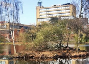 Vijverpark krijgt grondige opknapbeurt