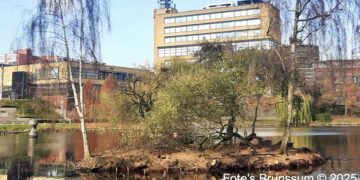 Vijverpark krijgt grondige opknapbeurt