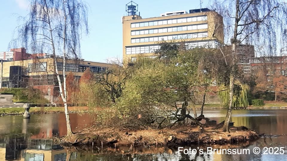 Vijverpark krijgt grondige opknapbeurt