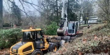 Vitaliserend Vijverpark-onderhoud in volle gang