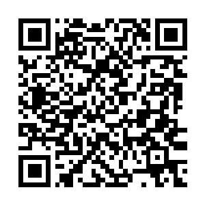 Glasvezelwerkzaamheden in Bocholtz via De BouwApp