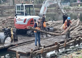 Vijverpark in Volle Vaart: Onderhoudswerken in Volle Gang