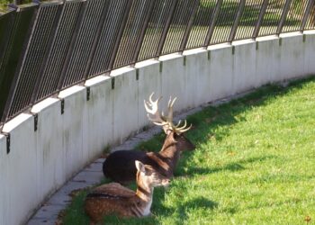 Maatregelen tegen overlast in Stadspark