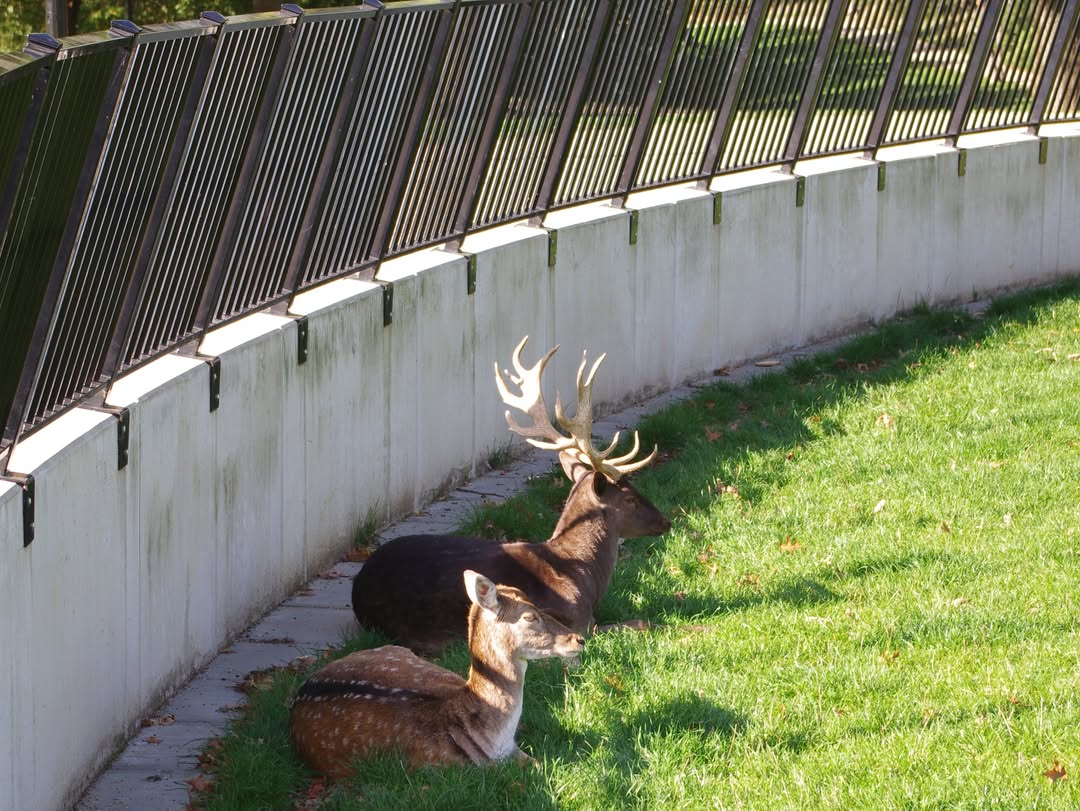 Maatregelen tegen overlast in Stadspark