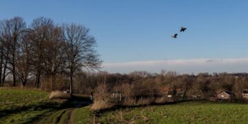 Waakzaam voor vogelgriep in Beekdaelen