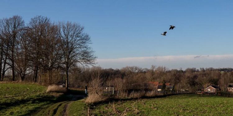 Waakzaam voor vogelgriep in Beekdaelen