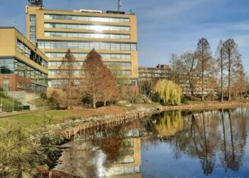 Vijverpark ondergaat grootse transformatie