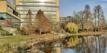 Vijverpark ondergaat grootse transformatie