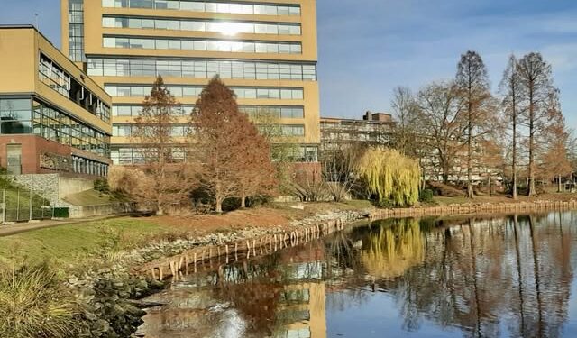 Vijverpark ondergaat grootse transformatie