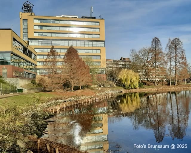 Vijverpark ondergaat grootse transformatie