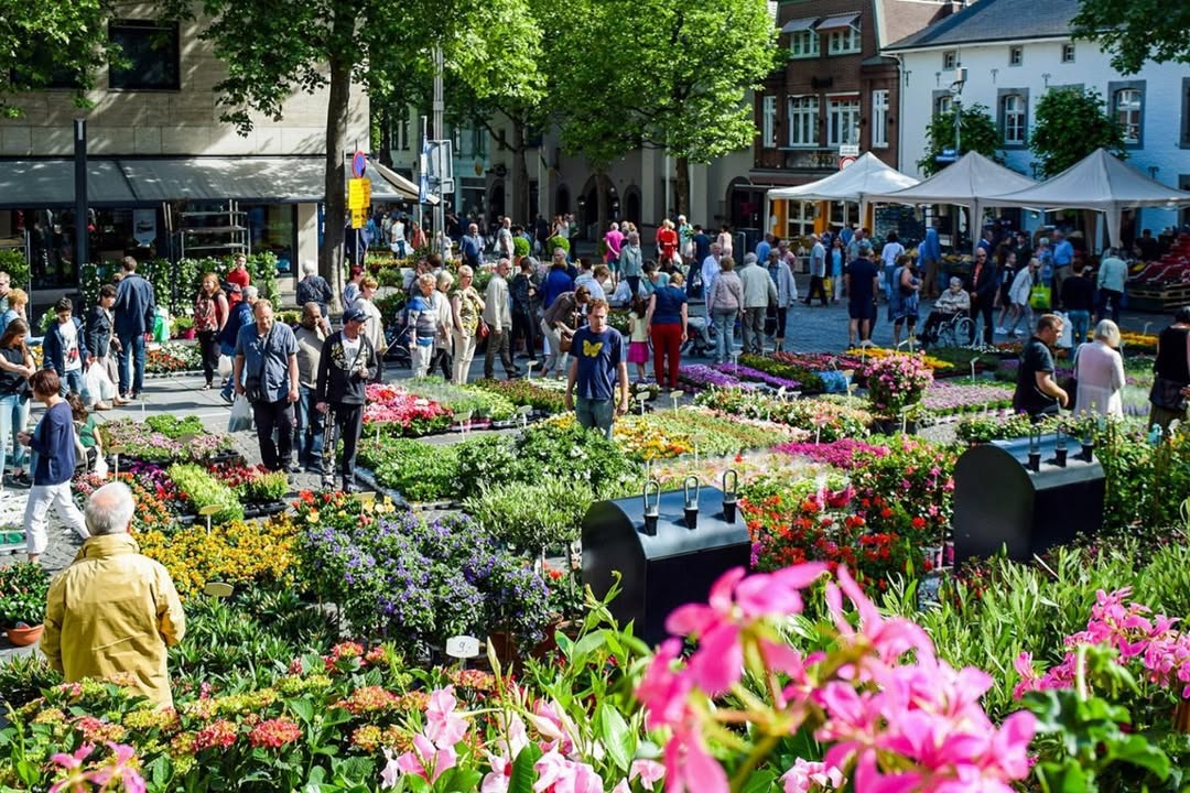 Bloeiend Voorjaar op de Bongerd