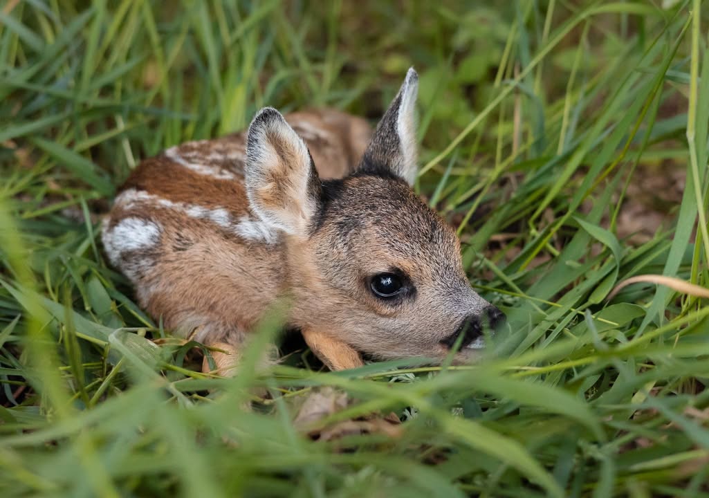 Kwetsbare natuur vraagt om respect